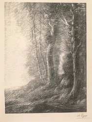 Paysage