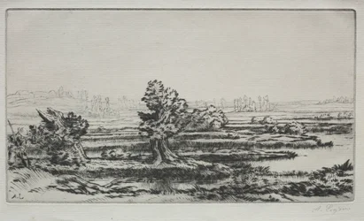 Paysage
