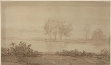 Paysage - quatre arbres au-delà d