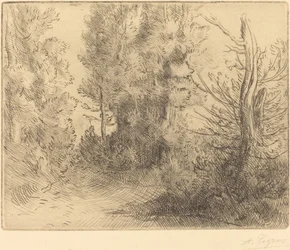 Paysage : Près de Chailleux