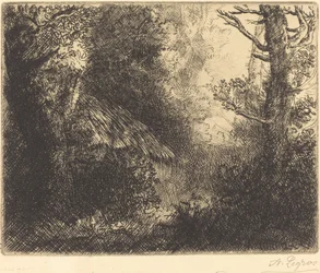 Paysage : Près de Chailleux