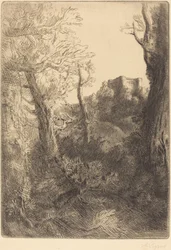 Paysage