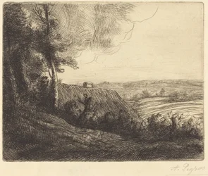 Paysage: Chemin d