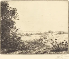 Paysage : Chemin d