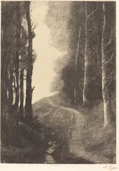 Paysage avec bouleaux