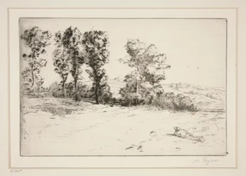 Le pré ensoleillé