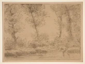 Les Bords de la Liane