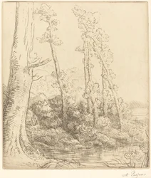 Petit étang (La petite mare)