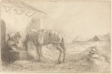 Homme abreuvant un cheval