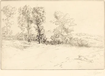 Le pré ensoleillé