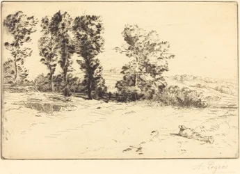 Le pré ensoleillé