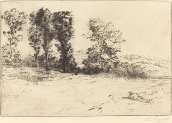 Le pré ensoleillé