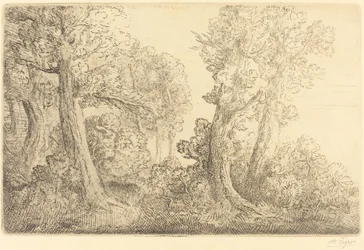 Près du bois, Véronne