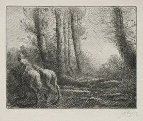 Retour du labourage