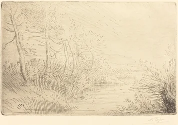 Bord de la rivière