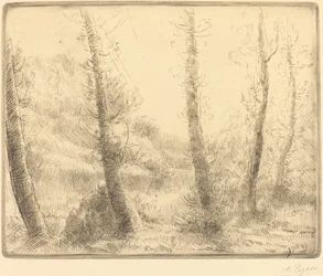 Le petit lac