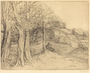 Solitude (Paysage)