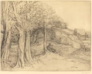 Solitude Solitude Paysage