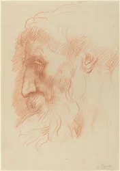 Étude de la tête d