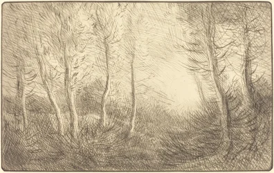 Lever du soleil, bois de Clamard