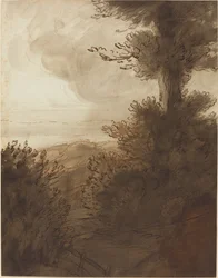 Le Grand Arbre