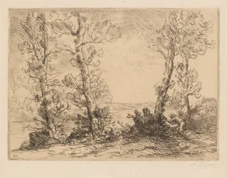 Le Pêcheur de saumon