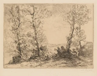 Le pêcheur de saumon, vers 1880