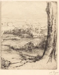 Vue de Coin de roseau