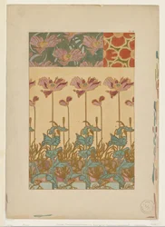 Documents décoratifs : Coquelicots orientaux