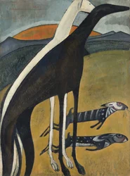 Lévriers Os Galgos, 1911