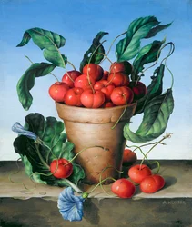 Cerises dans une terracotta avec fleur bleue