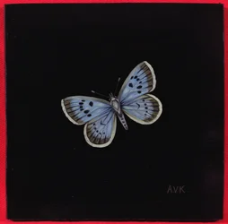 Grand papillon bleu, 2000