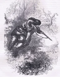 Tireur américain dans un arbre, illustration de l