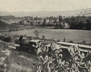 Près de Tula, Mexique