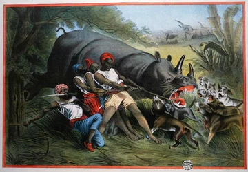Chasse au rhinocéros