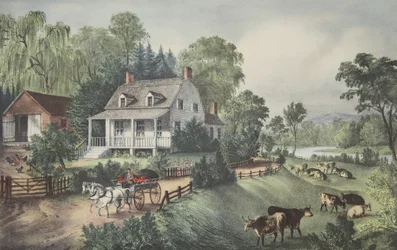 Ferme Américaine - Été