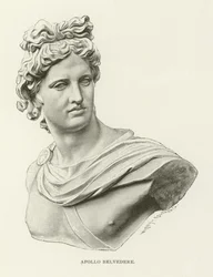 Apollon du Belvédère