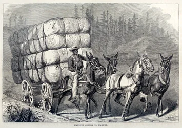 Transport de coton au marché, de Cent ans de progrès des États-Unis, pub. 1871 gravure
