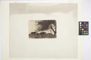 Paysage