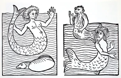 Sirènes et tritons, tiré de The World Guide to Gnomes, Fairies, Elves and Other Little People de Thomas Keightley (1789-1872), publié en 1880