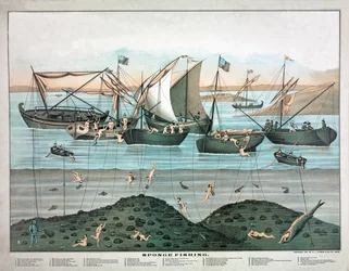La pêche à l