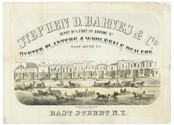 Stephen D. Barnes & Co. Planteurs d