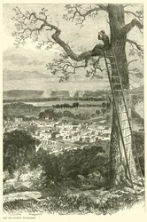 Vue de Chattanooga et du camp fédéral, novembre 1863