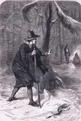 William dans la forêt, illustration de l