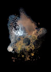 Bulles d