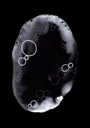 Essence de bulles monochrome