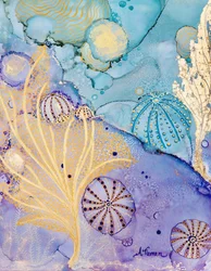 Oursins Aqua Coral
