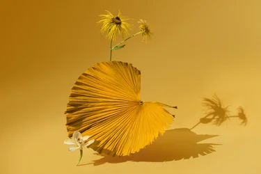 Ikebana 05, 2018 (photography)
