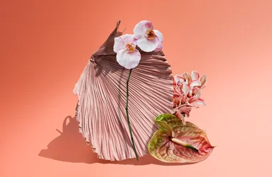 Ikebana 06, 2018 (photography)