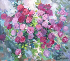 Jardin de roses en fleurs